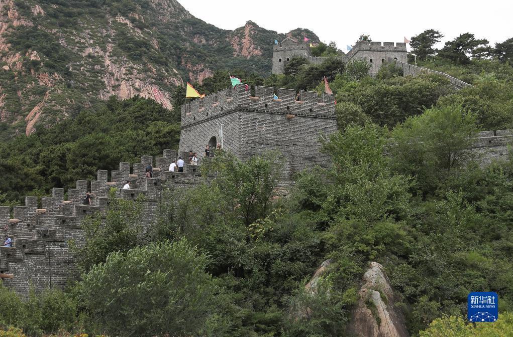 皇冠手机版下载